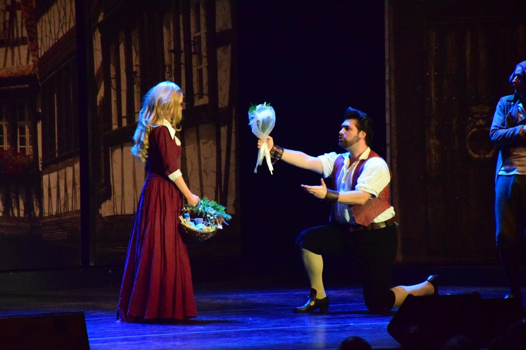 Musical Die Schöne und das Biest