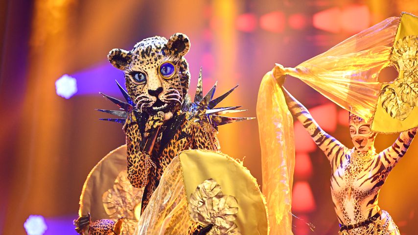 „The Masked Singer“: Wer wird heute im großen Finale als Sieger hervorgehen?