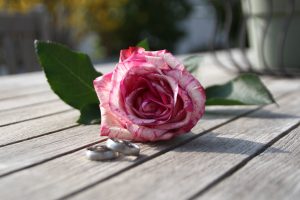 Fans sind begeistert: Dieser Schlagerstar teilt romantisches Hochzeitsfoto