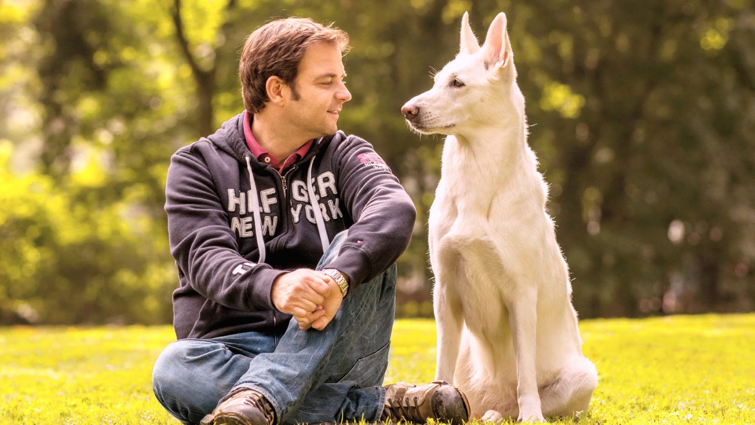 Martin Rütter: Hunde-Experte spricht über traurigen Verlust
