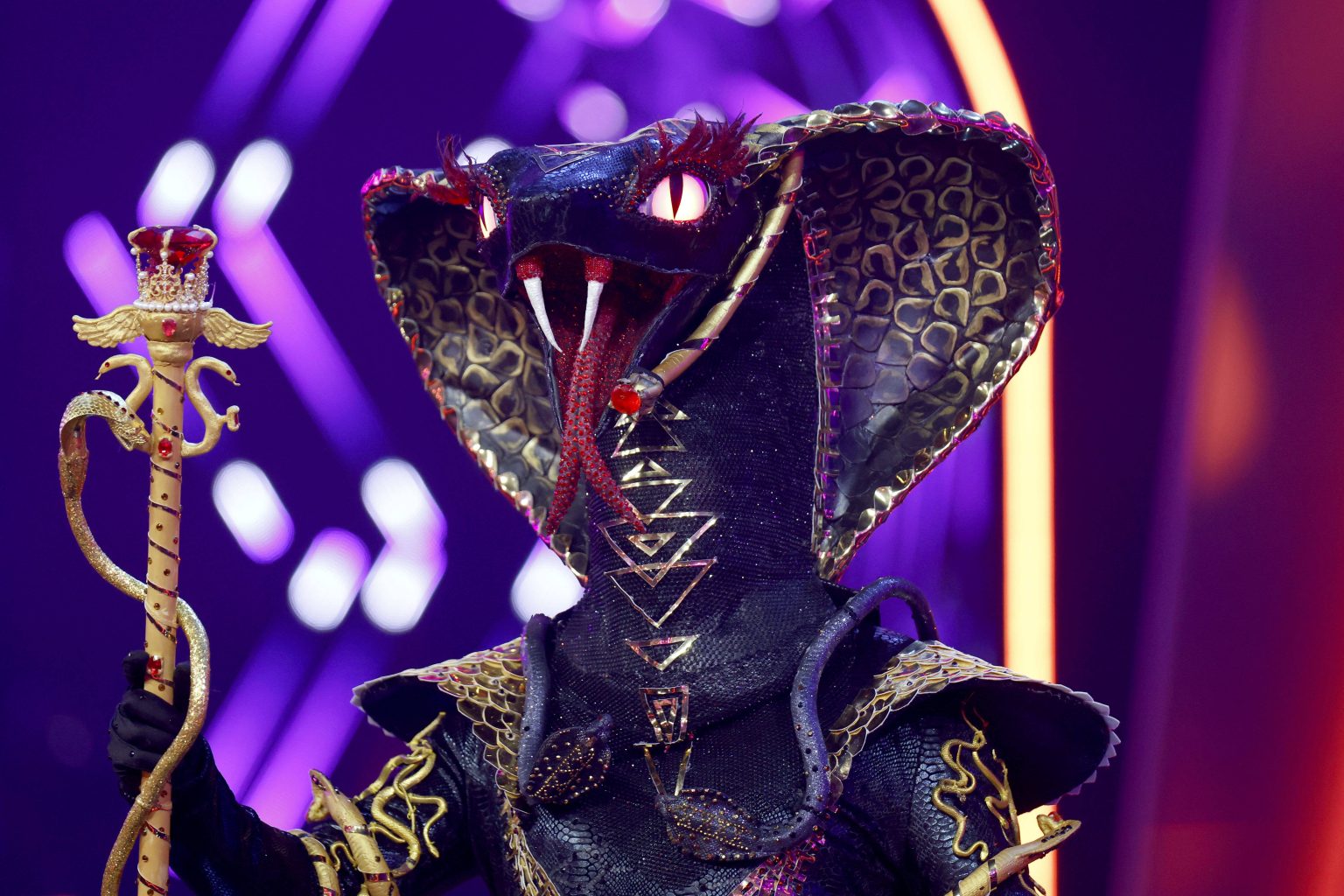 „The Masked Singer“: Black Mamba  – Peinlicher Kostüm-Fehler?