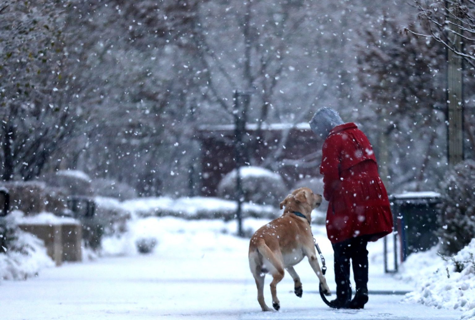 Forscher befürchten: Schnee im Winter könnte Vergangenheit gewesen sein