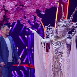 The Masked Singer: Tapsi, der Babylöwe, entlarvt – Die Enthüllung hinter der Maske