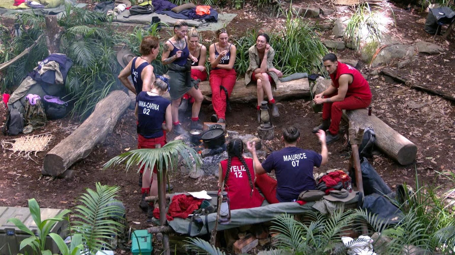 “Ich bin schon sehr dumm” – Dschungel-Camp-Star überrascht mit offenem Geständnis im ZDF